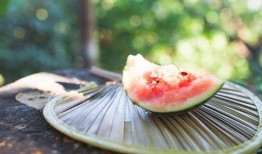 免费吃瓜 入口,揭秘网络世界的甜蜜陷阱